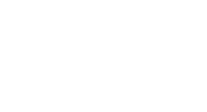 Box_logo_white_site