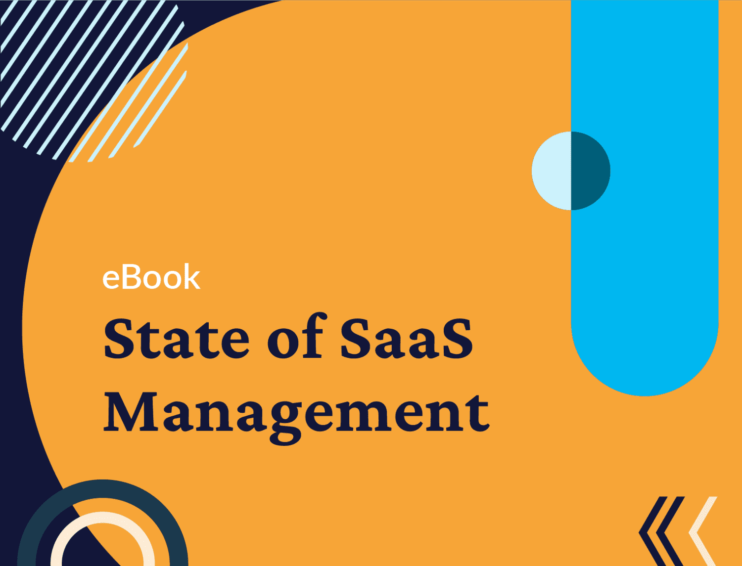 The State of SaaS Management in 2021