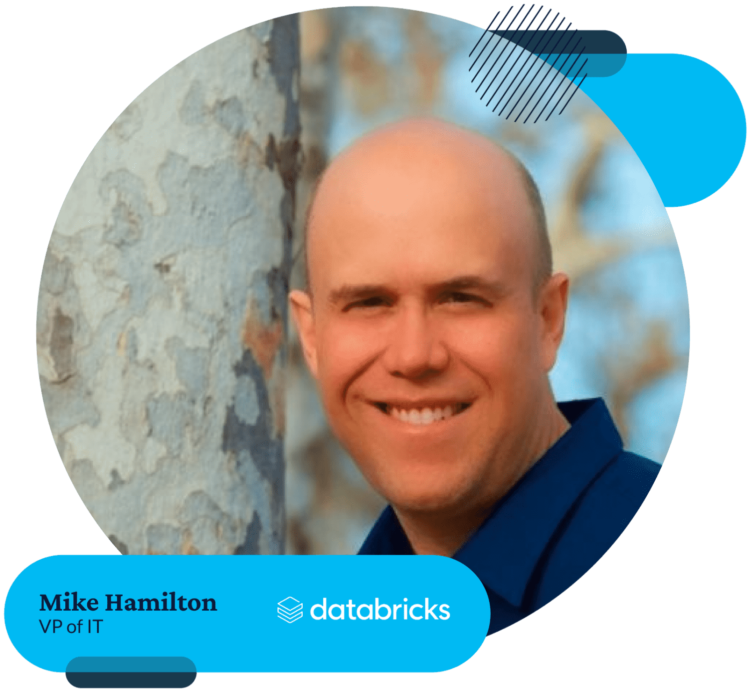 Mike Hamilton, Databricks