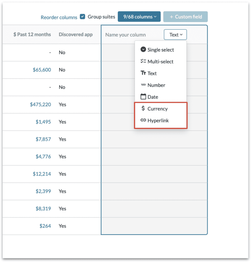 Productiv product screenshot showing the dropdown menu featuring currency and hyperlink as custom field options.